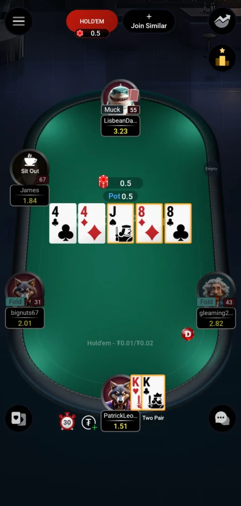 텍사스 홀덤 (NLH) 